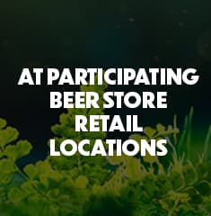 C4-Media-Home-Page-3-Desktop/Ipad